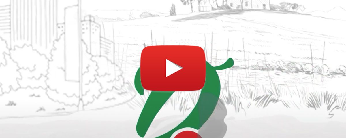 Company Logo Animation